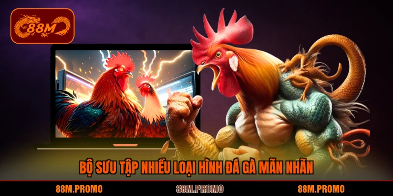 Bộ sưu tập nhiều loại hình đá gà mãn nhãn