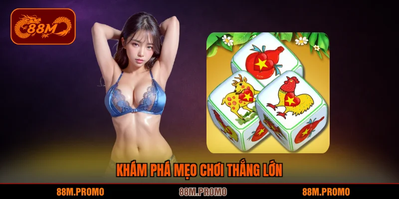 Khám phá mẹo chơi thắng lớn